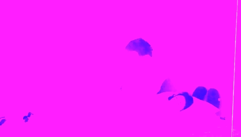 Busty brunette with a large ass gets some pleasure