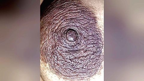 Free Big Nipples Porn Videos - desidhub.com